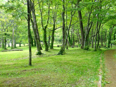 %e5%86%99%e7%9c%9f%e2%91%a1